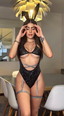 Velluto Rosso il Tuo Sogno di Passione e Eleganza